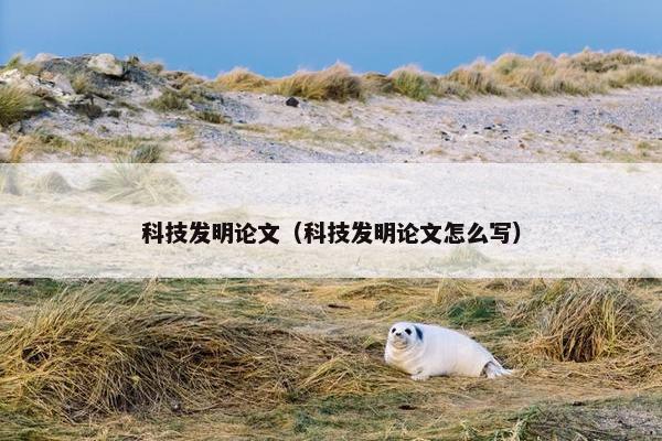 科技发明论文（科技发明论文怎么写）