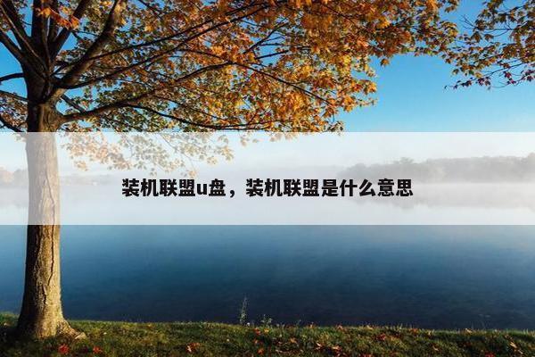 装机联盟u盘，装机联盟是什么意思