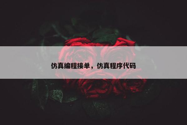 仿真编程接单，仿真程序代码