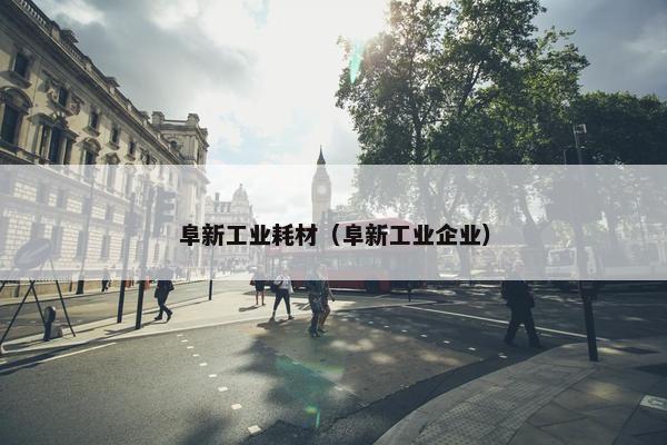 阜新工业耗材（阜新工业企业）