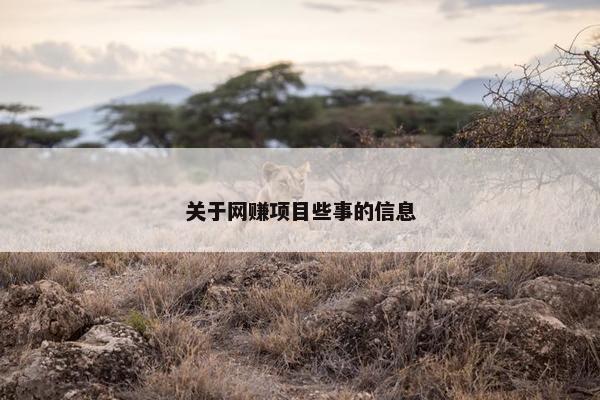 关于网赚项目些事的信息