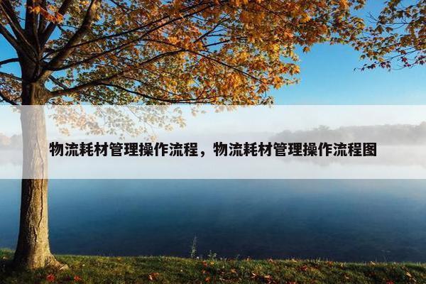 物流耗材管理操作流程，物流耗材管理操作流程图