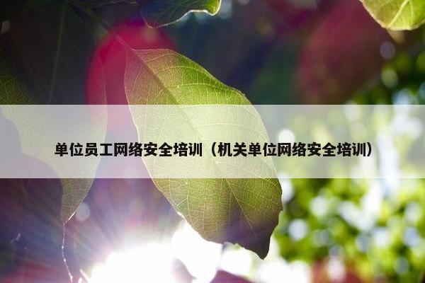 单位员工网络安全培训（机关单位网络安全培训）