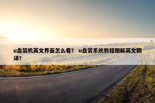 u盘装机英文界面怎么看？ u盘装系统教程图解英文翻译？