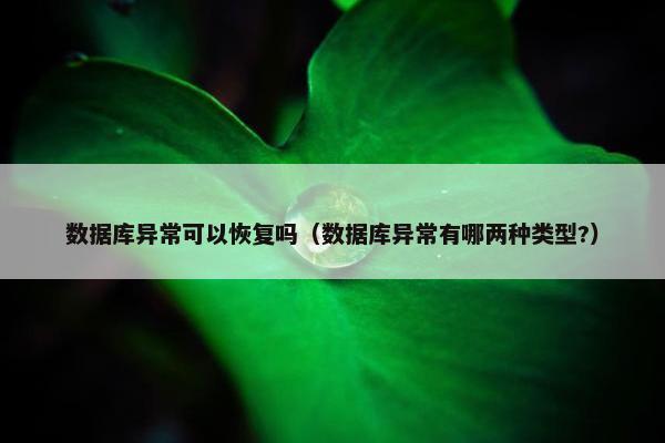 数据库异常可以恢复吗（数据库异常有哪两种类型?）