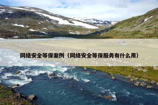 网络安全等保案例（网络安全等保服务有什么用）