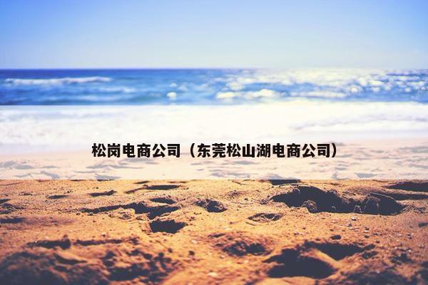 松岗电商公司（东莞松山湖电商公司）