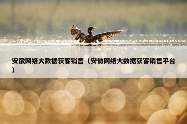 安徽网络大数据获客销售（安徽网络大数据获客销售平台）