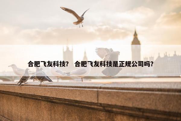 合肥飞友科技？ 合肥飞友科技是正规公司吗？