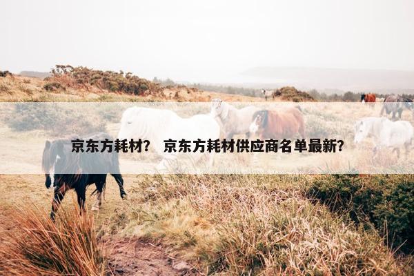 京东方耗材？ 京东方耗材供应商名单最新？