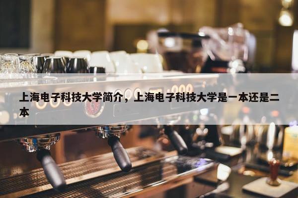 上海电子科技大学简介，上海电子科技大学是一本还是二本