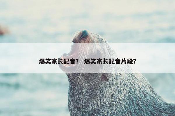 爆笑家长配音？ 爆笑家长配音片段？