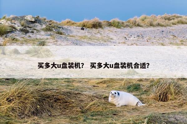 买多大u盘装机？ 买多大u盘装机合适？