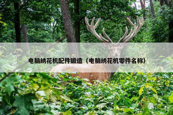 电脑绣花机配件锻造（电脑绣花机零件名称）