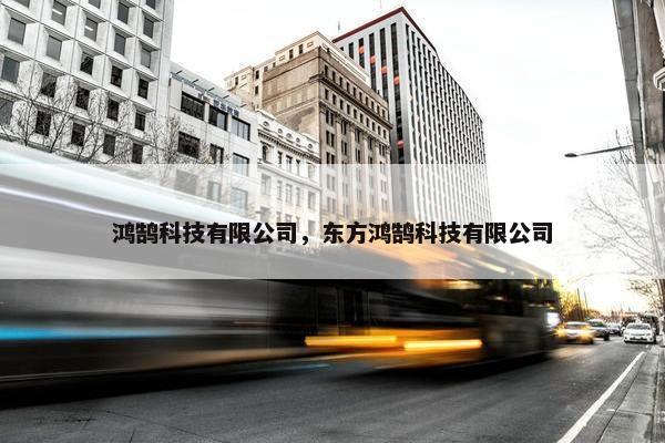 鸿鹄科技有限公司，东方鸿鹄科技有限公司