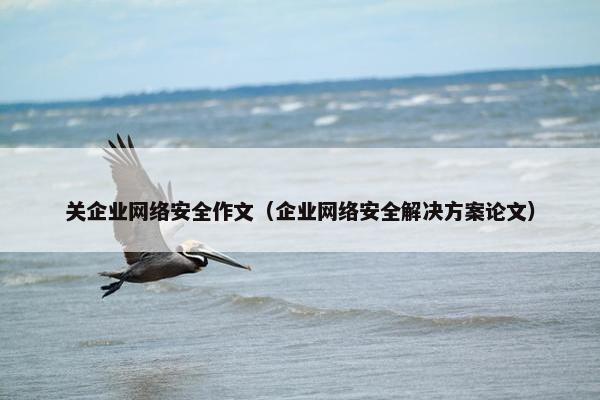 关企业网络安全作文（企业网络安全解决方案论文）