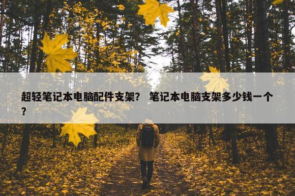 超轻笔记本电脑配件支架？ 笔记本电脑支架多少钱一个？