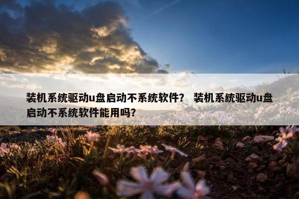 装机系统驱动u盘启动不系统软件？ 装机系统驱动u盘启动不系统软件能用吗？