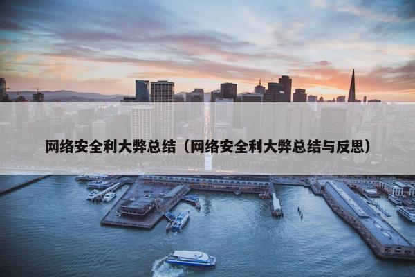 网络安全利大弊总结（网络安全利大弊总结与反思）
