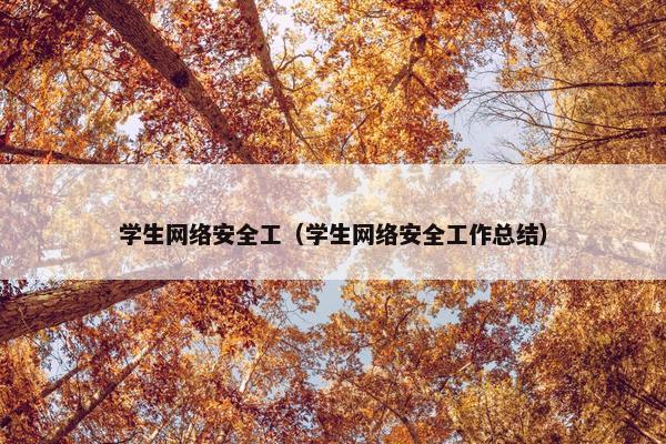 学生网络安全工（学生网络安全工作总结）
