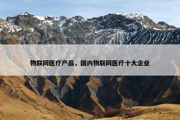 物联网医疗产品，国内物联网医疗十大企业