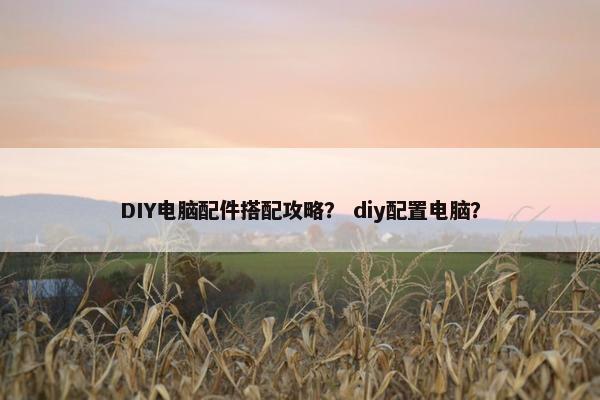 DIY电脑配件搭配攻略？ diy配置电脑？