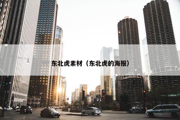 东北虎素材（东北虎的海报）