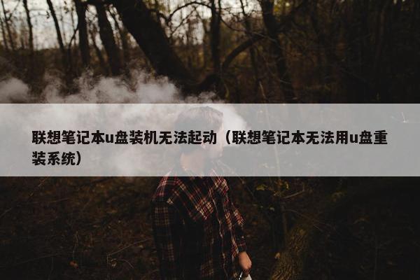 联想笔记本u盘装机无法起动（联想笔记本无法用u盘重装系统）