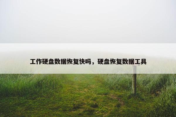工作硬盘数据恢复快吗，硬盘恢复数据工具