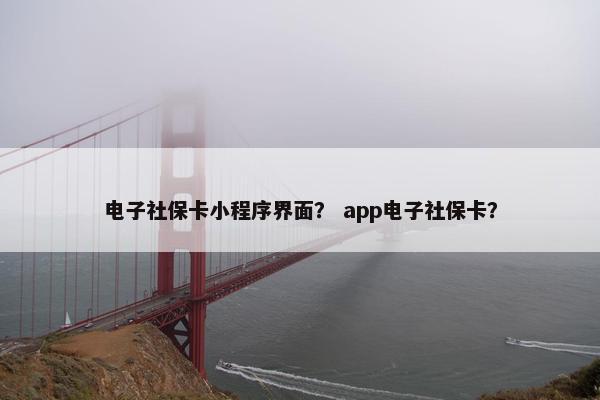 电子社保卡小程序界面？ app电子社保卡？