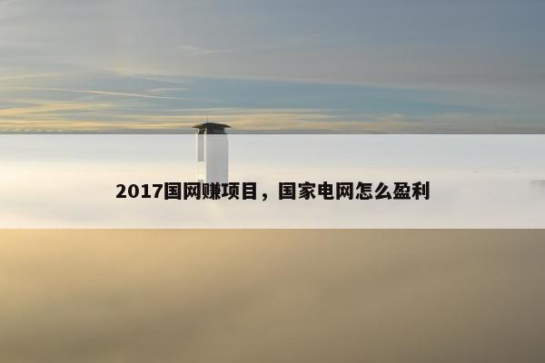 2017国网赚项目，国家电网怎么盈利