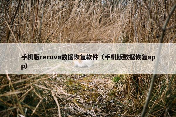 手机版recuva数据恢复软件（手机版数据恢复app）
