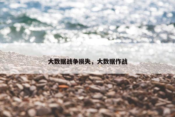大数据战争损失，大数据作战