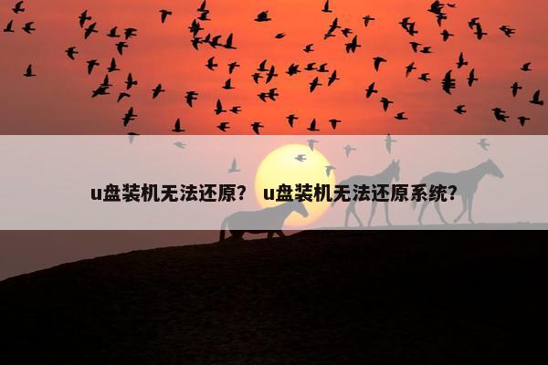 u盘装机无法还原？ u盘装机无法还原系统？