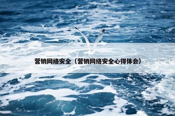 营销网络安全（营销网络安全心得体会）