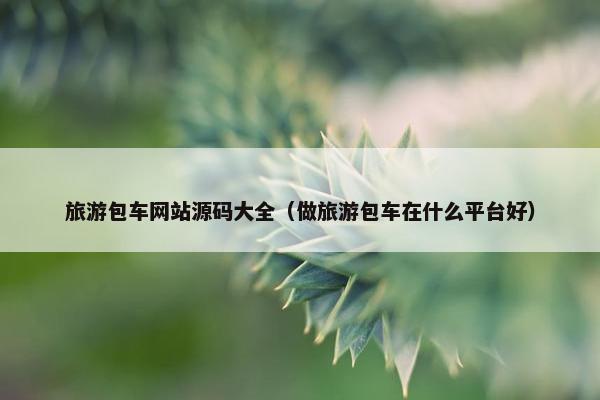 旅游包车网站源码大全（做旅游包车在什么平台好）