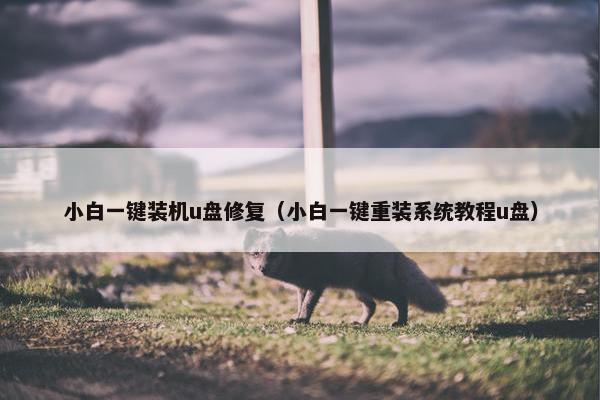 小白一键装机u盘修复（小白一键重装系统教程u盘）