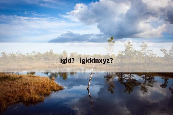igid？ igiddnxyz？