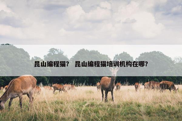 昆山编程猫？ 昆山编程猫培训机构在哪？