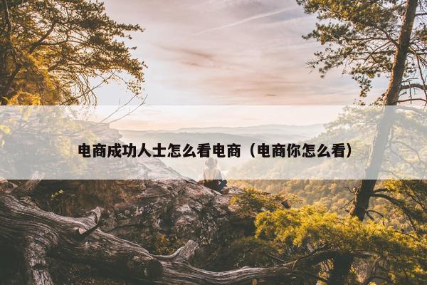 电商成功人士怎么看电商（电商你怎么看）