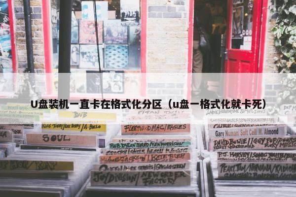 U盘装机一直卡在格式化分区（u盘一格式化就卡死）