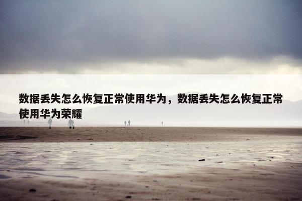 数据丢失怎么恢复正常使用华为，数据丢失怎么恢复正常使用华为荣耀