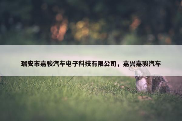 瑞安市嘉骏汽车电子科技有限公司，嘉兴嘉骏汽车