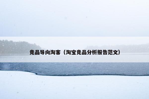 竞品导向淘客（淘宝竞品分析报告范文）