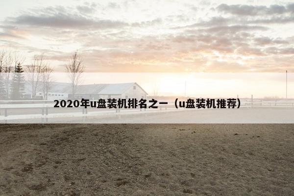 2020年u盘装机排名之一（u盘装机推荐）