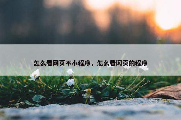 怎么看网页不小程序，怎么看网页的程序