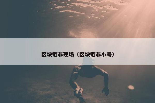区块链非现场（区块链非小号）