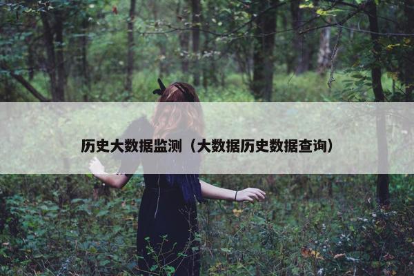 历史大数据监测（大数据历史数据查询）