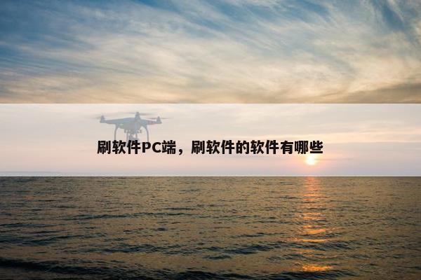 刷软件PC端，刷软件的软件有哪些