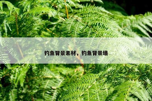 钓鱼背景素材，钓鱼背景墙